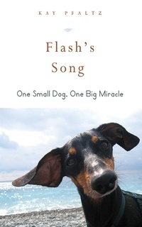 Enlarge image Cover: Flash's Song - Skyhorse Publishing