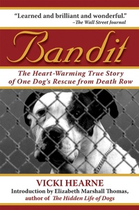 Enlarge image Cover: Bandit - Skyhorse Publishing