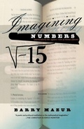 Cover: Imagining Numbers - Picador USA