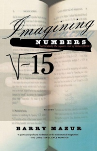 Enlarge image Cover: Imagining Numbers - Picador USA