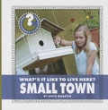 Cover: What's It Like to Live Here? Small Town - Cherry Lake Publishing