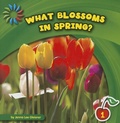 Cover: What Blossoms in Spring? - Cherry Lake Publishing