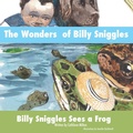 Cover: The Wonders of Billy Sniggles - Xulon Press