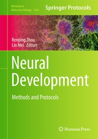 Abbildung von: Neural Development - Humana