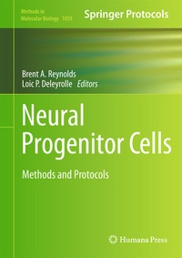 Abbildung von: Neural Progenitor Cells - Humana