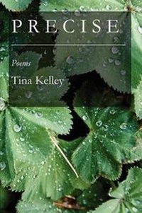 Enlarge image Cover: Precise - Wordtech Communications
