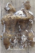 Cover: Fragments from the Biography of Nemesis - Wordtech Communications