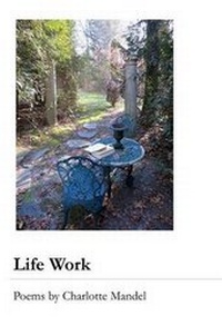 Enlarge image Cover: Life Work - Wordtech Communications