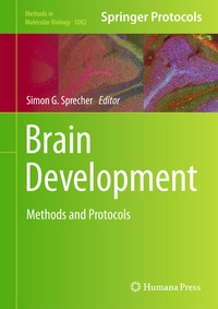 Abbildung von: Brain Development - Humana