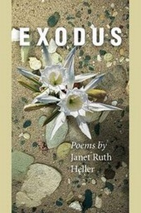 Enlarge image Cover: Exodus - Wordtech Communications
