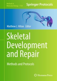 Abbildung von: Skeletal Development and Repair - Humana