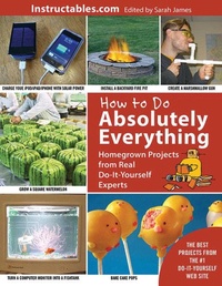 Abbildung von: How to Do Absolutely Everything - Skyhorse Publishing