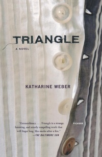 Enlarge image Cover: Triangle - Picador USA