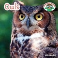 Cover: Owls - Cavendish Square Publishing