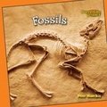 Cover: Fossils - Cavendish Square Publishing