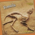 Cover: Fossils - Cavendish Square Publishing