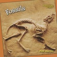 Enlarge image Cover: Fossils - Cavendish Square Publishing
