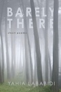 Cover: Barely There - Wipf & Stock Publishers