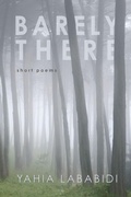 Cover: Barely There - Wipf & Stock Publishers