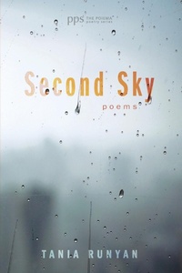 Enlarge image Cover: Second Sky - Wipf & Stock Publishers