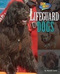 Cover: Lifeguard Dogs - Bearport Books