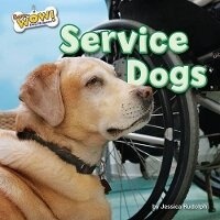 Enlarge image Cover: Service Dogs - Bearport Books