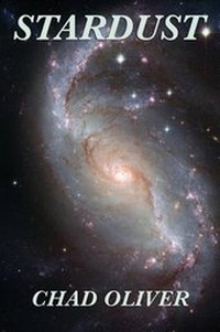Enlarge image Cover: Stardust - Positronic Publishing