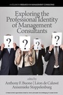 Cover: Exploring the Professional Identity of Management Consultants - Information Age Publishing