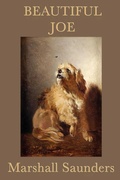 Cover: Beautiful Joe - Start Publishing LLC