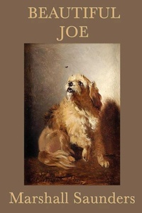 Enlarge image Cover: Beautiful Joe - Start Publishing LLC