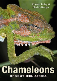 Abbildung von: Chameleons of Southern Africa - Struik Publishers