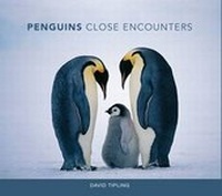 Enlarge image Cover: Penguins: Close Encounters - New Holland Publishers Ltd