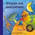 Cover: Shapes are everywhere - Jacana Media (Pty) Ltd
