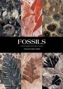 Cover: Fossils - New Holland Publishers Ltd