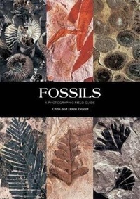 Enlarge image Cover: Fossils - New Holland Publishers Ltd