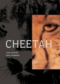 Enlarge image Cover: Cheetah - Struik Nature
