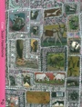 Cover: Cow - Spinifex Press