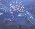 Cover: Secrets of the Sea - The Book Company Publishing