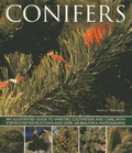 Cover: Conifers - Southwater