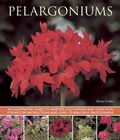 Cover: Pelargoniums - Southwater