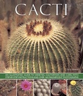 Cover: Cacti - Southwater