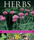 Cover: Herbs - Southwater