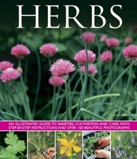 Enlarge image Cover: Herbs - Southwater