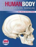 Cover: Human Body Identification Manual - Global Book Publishing