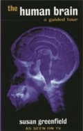 Cover: The Human Brain - Weidenfeld & Nicolson