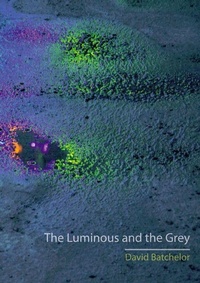 Enlarge image Cover: The Luminous and the Grey - Reaktion Books
