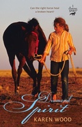 Cover: Diamond Spirit (Diamond Spirit 1) - A&U Children