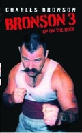 Cover: Bronson 3 - Up on the Roof - John Blake