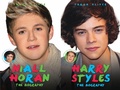 Cover: Harry Styles & Niall Horan: The Biography - Choose Your Favourite Member of One Direction - John Blake