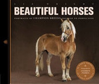Enlarge image Cover: Beautiful Horses - Ivy Press